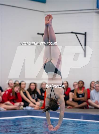 Thumbnail 1 in Cherry Creek vs Regis Jesuit (Dive) photogallery.