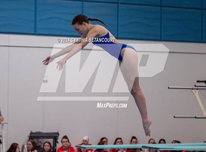 Thumbnail 3 in Cherry Creek vs Regis Jesuit (Dive) photogallery.