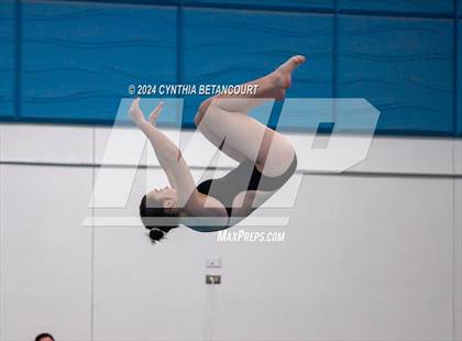 Thumbnail 2 in Cherry Creek vs Regis Jesuit (Dive) photogallery.