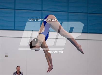 Thumbnail 3 in Cherry Creek vs Regis Jesuit (Dive) photogallery.