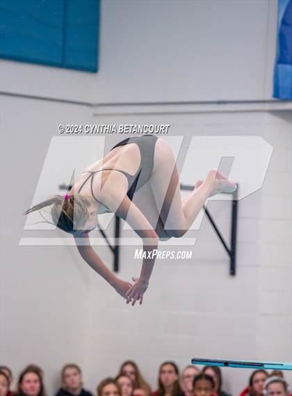 Thumbnail 3 in Cherry Creek vs Regis Jesuit (Dive) photogallery.