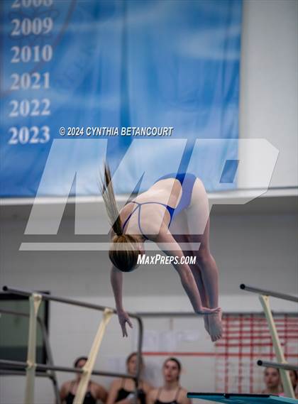 Thumbnail 3 in Cherry Creek vs Regis Jesuit (Dive) photogallery.