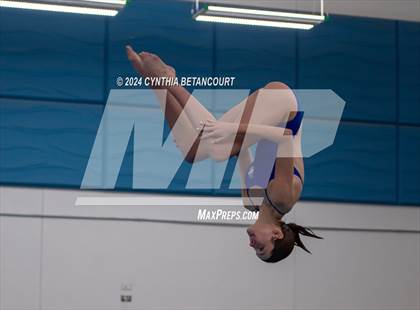 Thumbnail 1 in Cherry Creek vs Regis Jesuit (Dive) photogallery.
