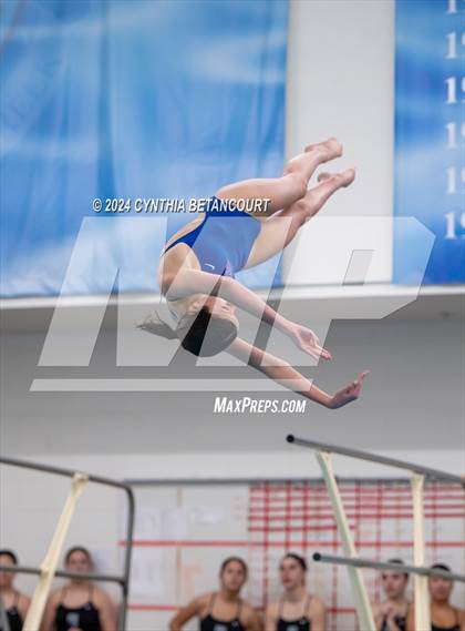 Thumbnail 1 in Cherry Creek vs Regis Jesuit (Dive) photogallery.
