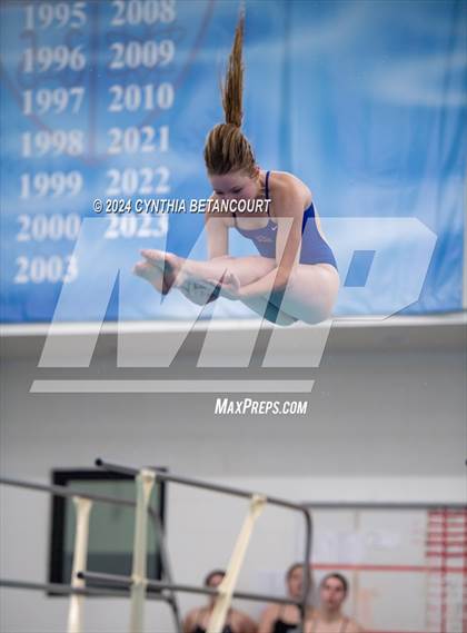 Thumbnail 2 in Cherry Creek vs Regis Jesuit (Dive) photogallery.
