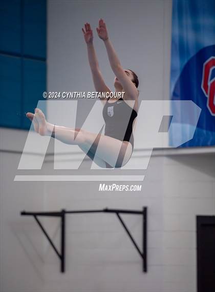 Thumbnail 3 in Cherry Creek vs Regis Jesuit (Dive) photogallery.
