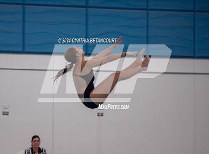 Thumbnail 3 in Cherry Creek vs Regis Jesuit (Dive) photogallery.