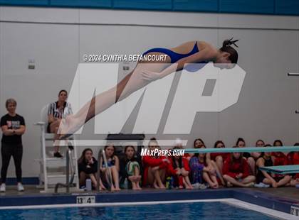 Thumbnail 2 in Cherry Creek vs Regis Jesuit (Dive) photogallery.