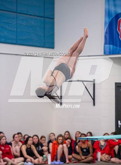 Thumbnail 1 in Cherry Creek vs Regis Jesuit (Dive) photogallery.