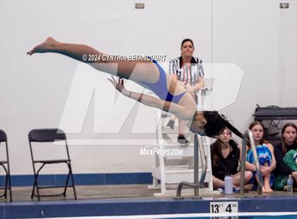 Thumbnail 2 in Cherry Creek vs Regis Jesuit (Dive) photogallery.