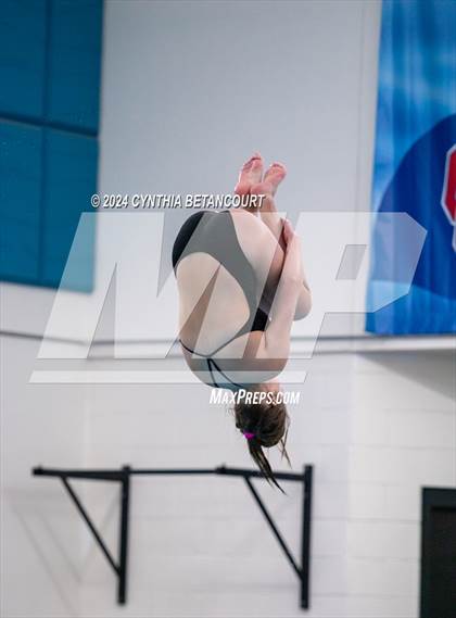 Thumbnail 3 in Cherry Creek vs Regis Jesuit (Dive) photogallery.