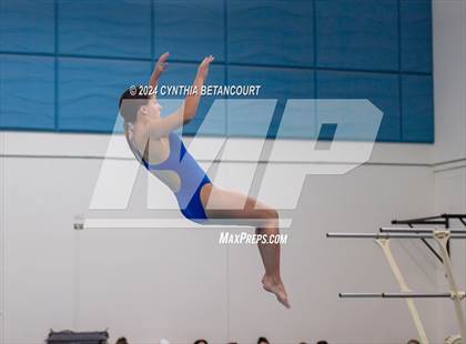 Thumbnail 2 in Cherry Creek vs Regis Jesuit (Dive) photogallery.
