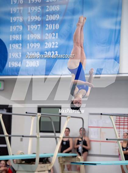 Thumbnail 2 in Cherry Creek vs Regis Jesuit (Dive) photogallery.