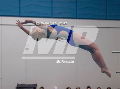 Thumbnail 3 in Cherry Creek vs Regis Jesuit (Dive) photogallery.