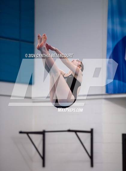 Thumbnail 1 in Cherry Creek vs Regis Jesuit (Dive) photogallery.