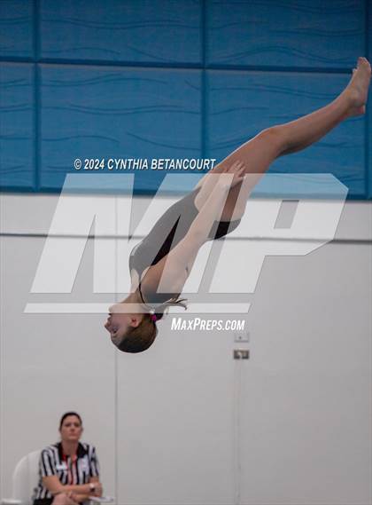 Thumbnail 2 in Cherry Creek vs Regis Jesuit (Dive) photogallery.