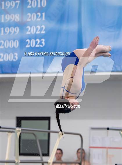 Thumbnail 1 in Cherry Creek vs Regis Jesuit (Dive) photogallery.