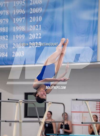 Thumbnail 1 in Cherry Creek vs Regis Jesuit (Dive) photogallery.