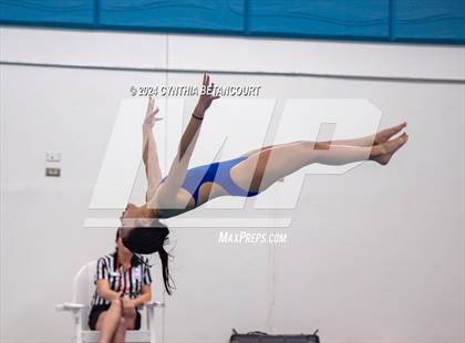 Thumbnail 1 in Cherry Creek vs Regis Jesuit (Dive) photogallery.