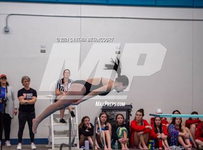 Thumbnail 1 in Cherry Creek vs Regis Jesuit (Dive) photogallery.