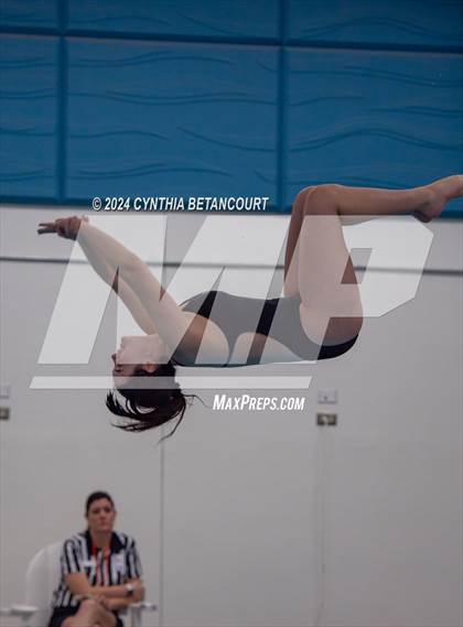 Thumbnail 3 in Cherry Creek vs Regis Jesuit (Dive) photogallery.