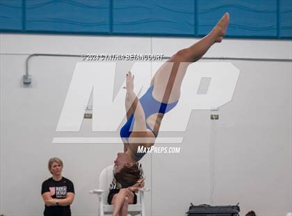 Thumbnail 3 in Cherry Creek vs Regis Jesuit (Dive) photogallery.