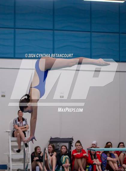 Thumbnail 1 in Cherry Creek vs Regis Jesuit (Dive) photogallery.