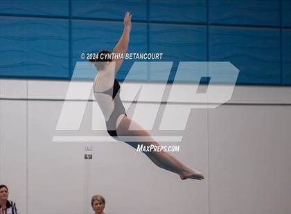 Thumbnail 2 in Cherry Creek vs Regis Jesuit (Dive) photogallery.