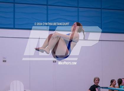 Thumbnail 3 in Cherry Creek vs Regis Jesuit (Dive) photogallery.