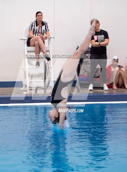 Thumbnail 1 in Cherry Creek vs Regis Jesuit (Dive) photogallery.