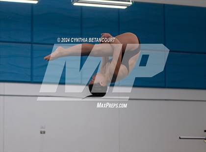Thumbnail 3 in Cherry Creek vs Regis Jesuit (Dive) photogallery.