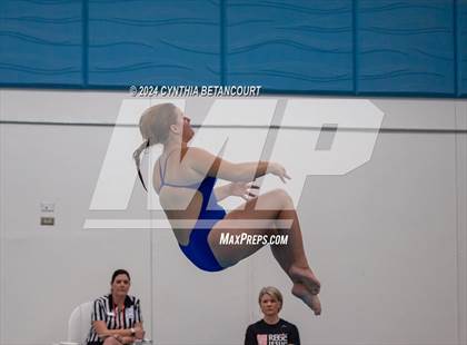 Thumbnail 2 in Cherry Creek vs Regis Jesuit (Dive) photogallery.