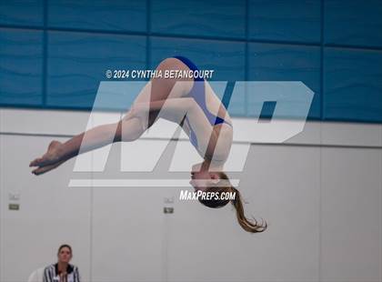 Thumbnail 3 in Cherry Creek vs Regis Jesuit (Dive) photogallery.