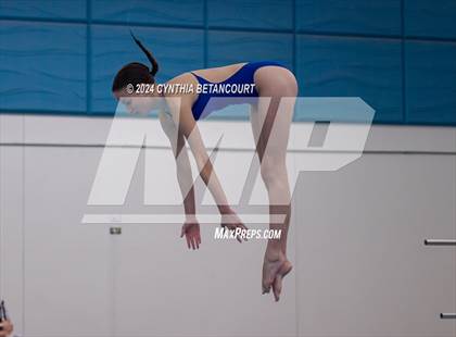 Thumbnail 1 in Cherry Creek vs Regis Jesuit (Dive) photogallery.