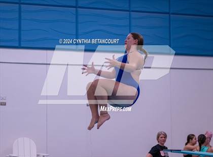 Thumbnail 1 in Cherry Creek vs Regis Jesuit (Dive) photogallery.