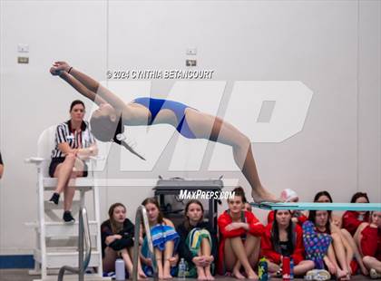Thumbnail 2 in Cherry Creek vs Regis Jesuit (Dive) photogallery.