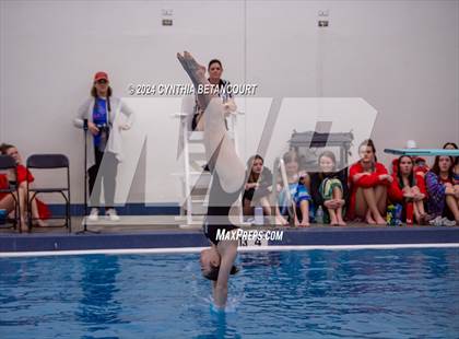 Thumbnail 1 in Cherry Creek vs Regis Jesuit (Dive) photogallery.