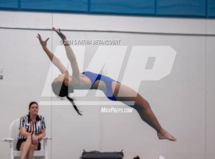 Thumbnail 3 in Cherry Creek vs Regis Jesuit (Dive) photogallery.