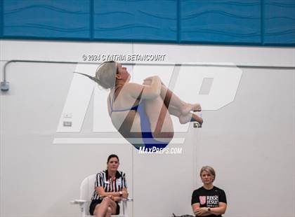 Thumbnail 3 in Cherry Creek vs Regis Jesuit (Dive) photogallery.