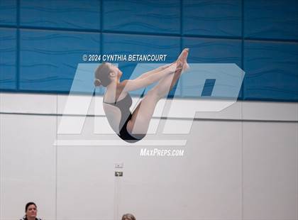 Thumbnail 1 in Cherry Creek vs Regis Jesuit (Dive) photogallery.