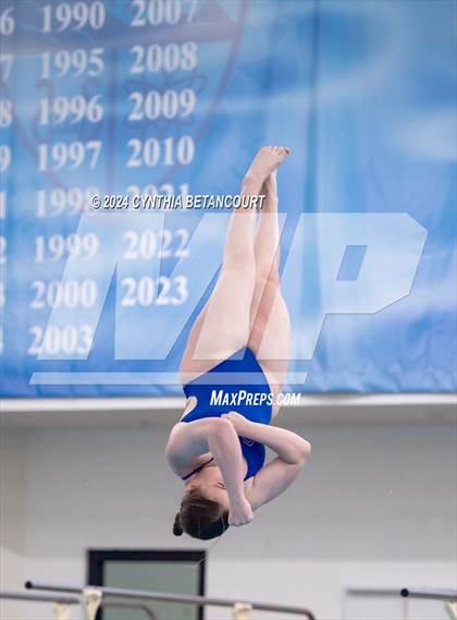 Thumbnail 2 in Cherry Creek vs Regis Jesuit (Dive) photogallery.