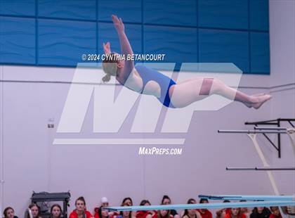 Thumbnail 2 in Cherry Creek vs Regis Jesuit (Dive) photogallery.