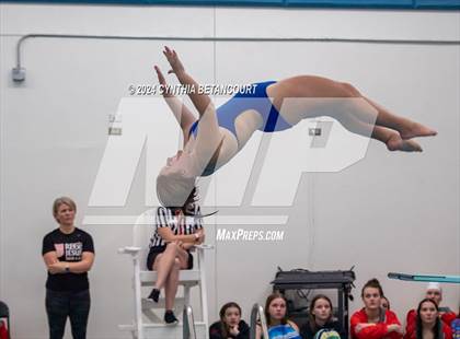Thumbnail 2 in Cherry Creek vs Regis Jesuit (Dive) photogallery.