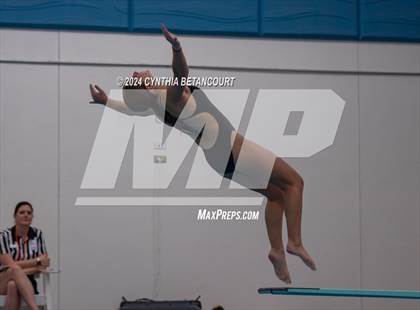 Thumbnail 1 in Cherry Creek vs Regis Jesuit (Dive) photogallery.