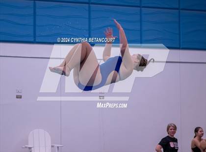 Thumbnail 2 in Cherry Creek vs Regis Jesuit (Dive) photogallery.