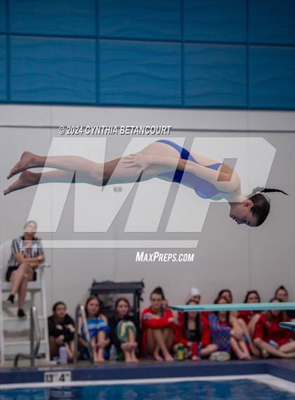 Thumbnail 1 in Cherry Creek vs Regis Jesuit (Dive) photogallery.