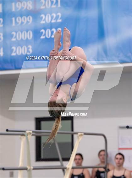 Thumbnail 2 in Cherry Creek vs Regis Jesuit (Dive) photogallery.
