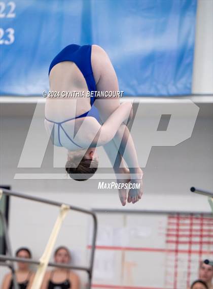Thumbnail 1 in Cherry Creek vs Regis Jesuit (Dive) photogallery.