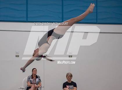 Thumbnail 2 in Cherry Creek vs Regis Jesuit (Dive) photogallery.