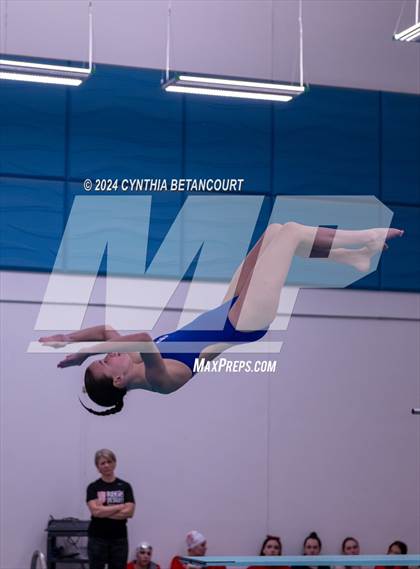 Thumbnail 2 in Cherry Creek vs Regis Jesuit (Dive) photogallery.